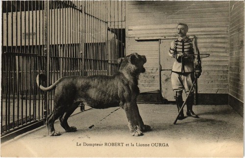 Dompteur robert lionne - pc,