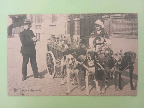 Cpa laitière flamande - cpa,,