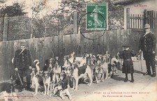 CPA (81) Forêt de LA GRESIGNE Un Equipage de Chasse  98360