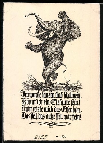 Carte postale éléphant - carte,