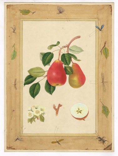 Main peinture miniature - main, de