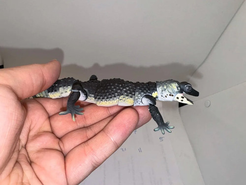 Realistic leopard gecko - realistic,
