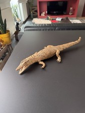 Crocodile Empaillé 