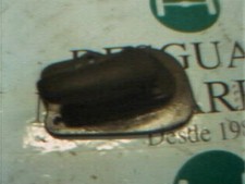 POIGNEE INTERIEURE AVANT