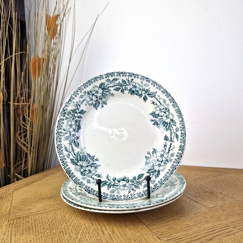 Assiettes dessert terre - 3,