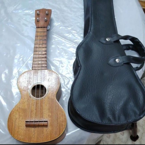Ukulélé vintage luna - ukulélé,