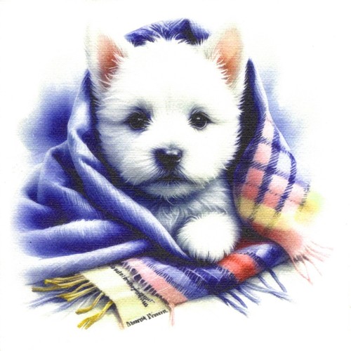 Serviettes papier westie - papier,