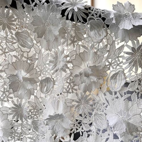 Tissu dentelle guipure - en,