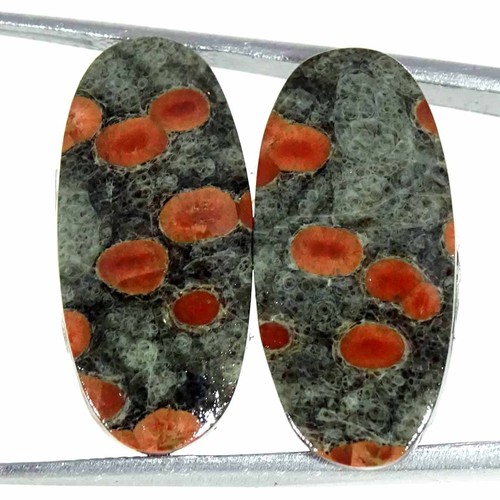 Cts obsidienne peanuts - cts,