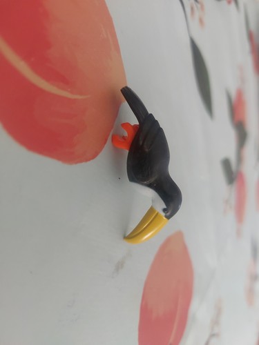 Playmobil toucan oiseau nature - toucan,