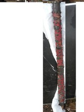 canne pélerin ou  conscrit