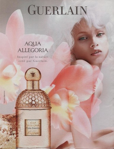 Publicité papier parfum - publicité,