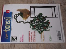 ¤¤ France Bonsaï n°4 Spetial rempotage / Rempotage avec 2 pots