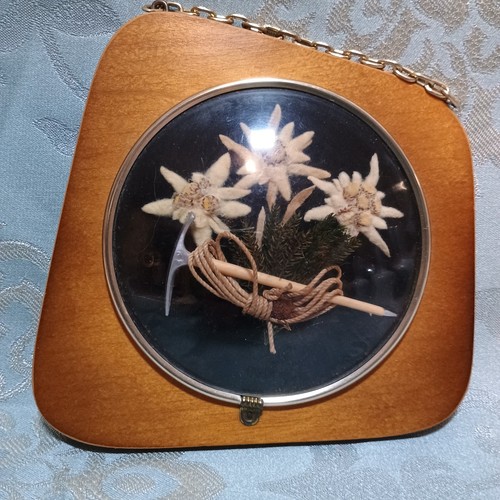 Vintage edelweiss véritables - edelweiss,