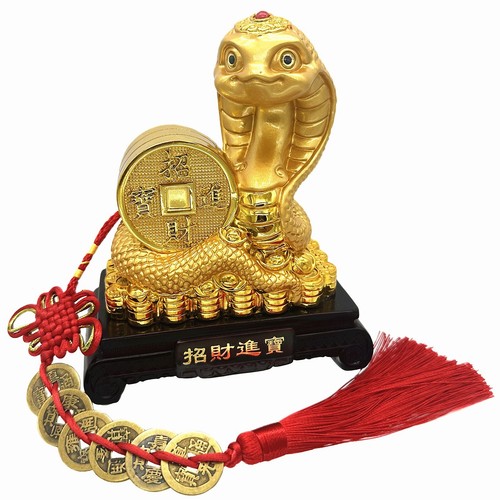 Feng shui 2025 - 2025, zodiac