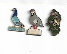 lot de 3 pin's pigeons