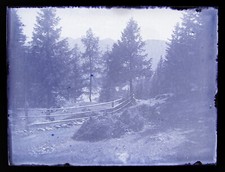 Ancienne photo plaque de verre