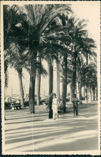 Espagne, Vue d'une promenade sous les palmiers, ca.1952, Vintage silver pri