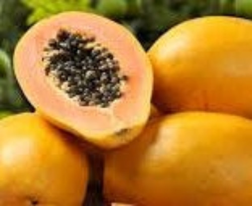 Papaye melon des - papaye,melon,