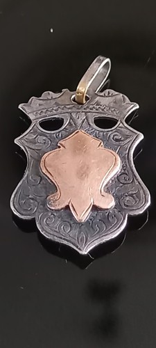 Rare médaille anglaise - médaille,