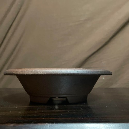 Pot bonsaï japonais - bonsaï,