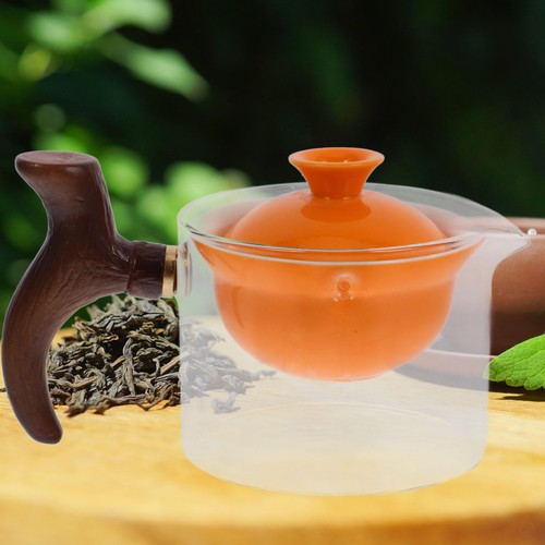 Théière chinoise gongfu - chinoise,