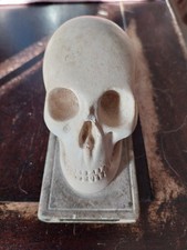 CABINET DE CURIOSITE VANITE CRANE EN PLATRE ANCIEN MEMENTO MEMORY PRESSE PAPIER