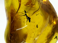 Pendentif Ambre 2 Insectes