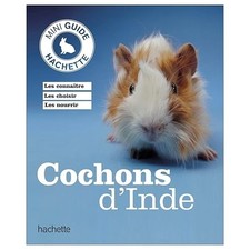 Cochon d'inde - Birmelin