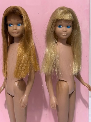 Mattel skipper doll - skipper,