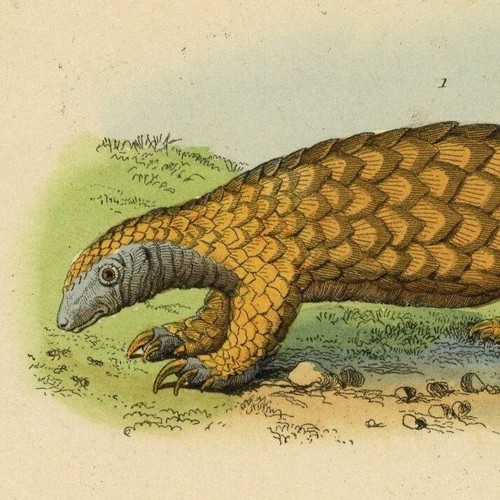 Décoration pangolin panthère - décoration,