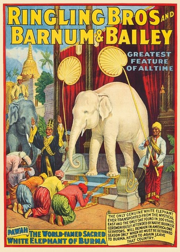 Barnum bailey cirque elephant - bailey,