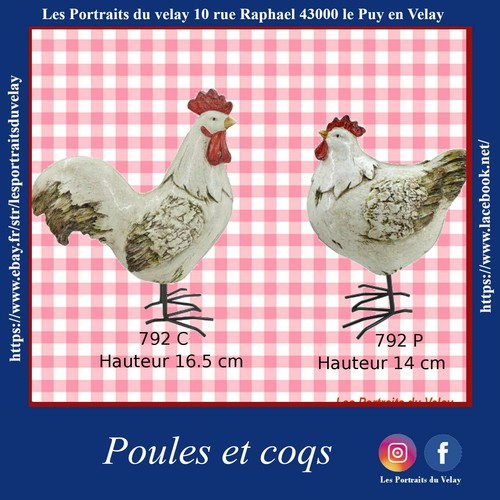 Poules coqs - poules, et