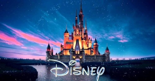 Plusieurs places disneyland - plusieurs,