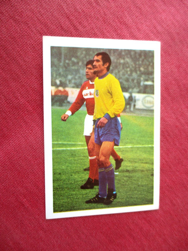 Seles sochaux image n - sochaux, n°