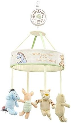 Rainbow designs hundred - rainbow,