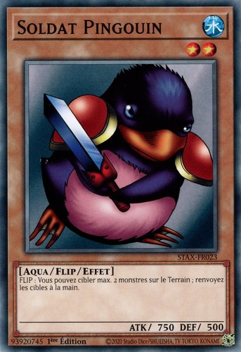 Soldat pingouin - soldat,