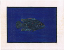 Peinture Artisanale De Poisson