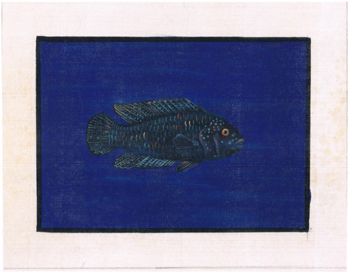 Peinture artisanale poisson - peinture, de