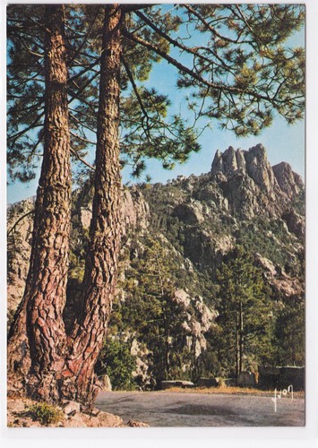 Carte postale cpm corse - carte,