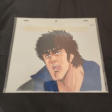 Fist of the North Star