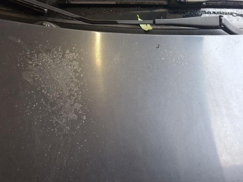 Capot opel corsa phase - capot,
