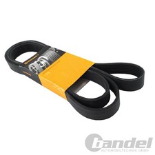 CONTINENTAL Courroie AVX10X763