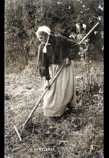 SCENE de VIE / FENAISON TRAVAIL AGRICOLE , FEMME SARCLEUSE vers 1930