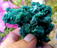 Dioptase originale du Congo 6x6cm Minéraux Collection pierre reiki lithothérapie