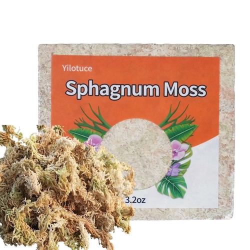 90g sphaigne pour plante - sphaigne,