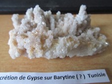 CONCRETION DE GYPSE SUR