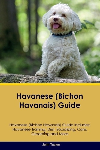 John tucker havanese bichon - john, (bichon