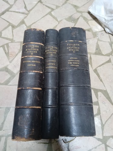 Traité anatomie humaine - d'anatomie, 3