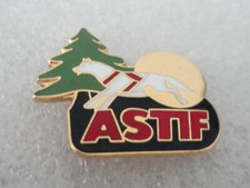  PIN S CHIEN DE TRAINEAU